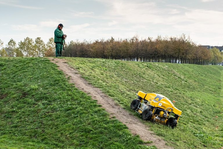 The Green Revolution: Embracing Eco-Friendly Lawn Mowing Practices